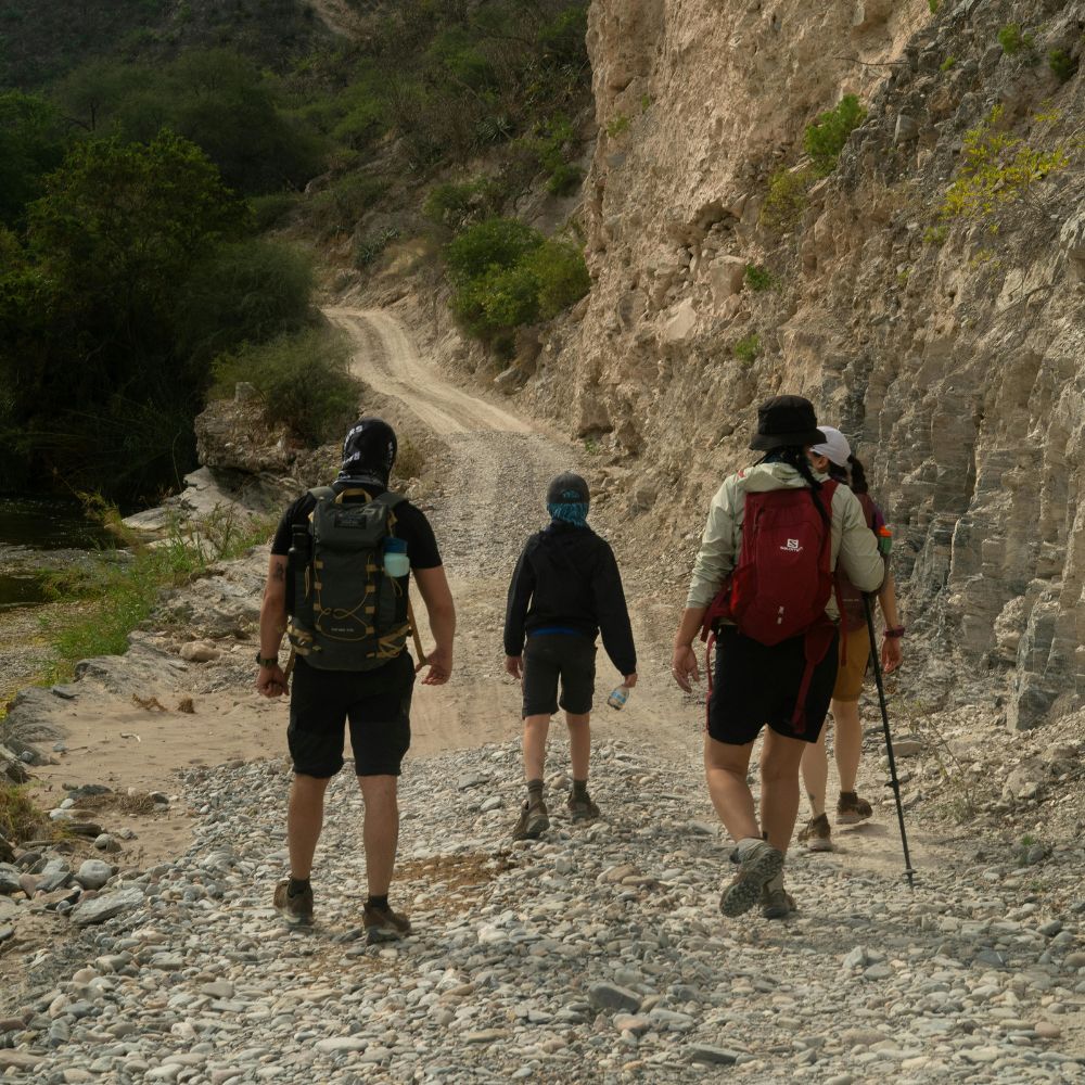 Travel Packs